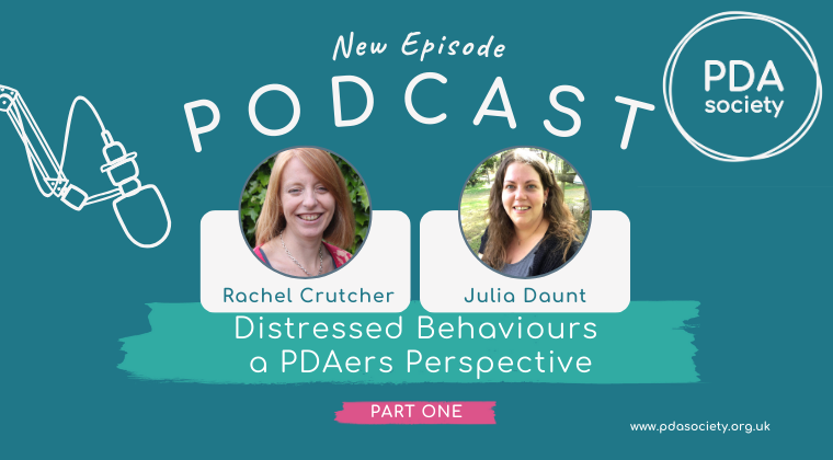 Distressed Behaviours - a PDAers Perspective (Part 1)