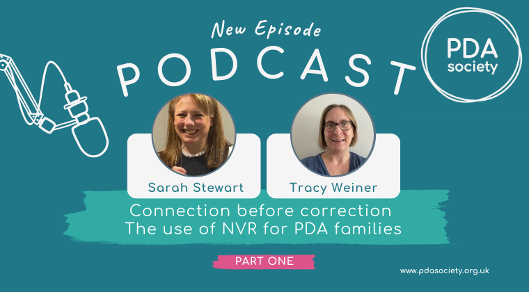 Connection before correction - The use of NVR for PDA families (Part 1)